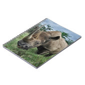 Carnet Rhinocéros noir | Kenya (Côté gauche)