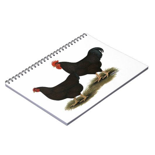 Carnet Rhode Island Red Bantams (Côté gauche)