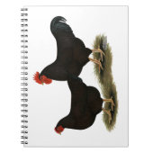 Carnet Rhode Island Red Bantams (Devant)