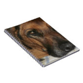 Carnet Rhodesian Ridgeback (Côté Droit)