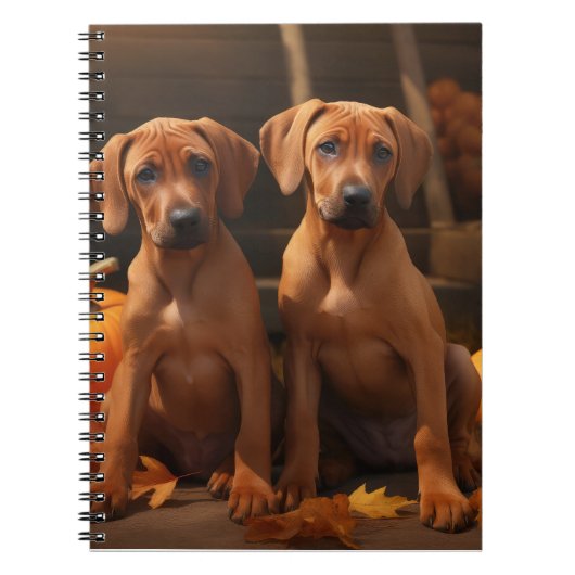 Carnet Rhodesian Ridgeback Chiot Automne Citrouille délic (Devant)