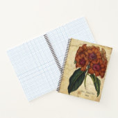 Carnet Rhododendron Javanicum (Intérieur)