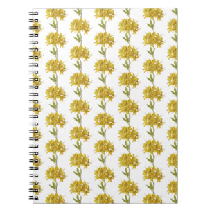 Carnet Rhododendron luteum (azalée pontique)