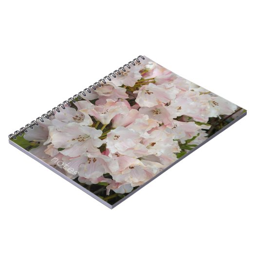 Carnet Rhododendron rose fleurit (Côté gauche)