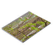 Carnet Rhododendrons florissants | Redwoods State Park, C (Côté gauche)