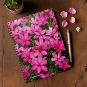 Carnet Rhodohypoxis / Etoile rouge / Rosy Posy
