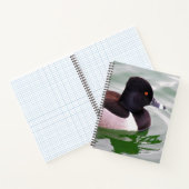 Carnet Ring Necked Duck (Intérieur)