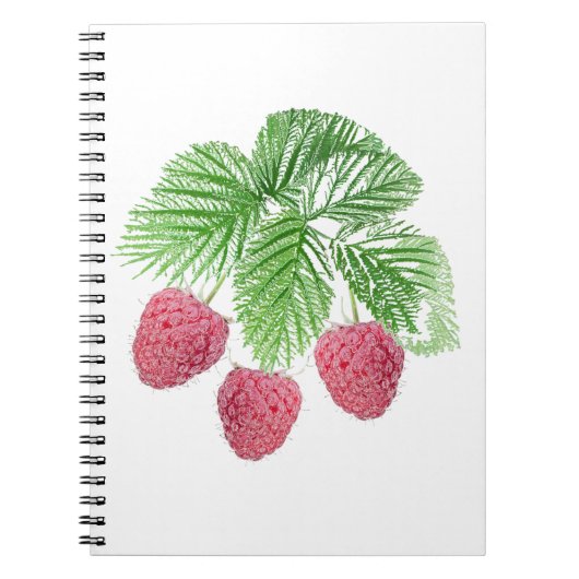 Carnet Ripe, baies, framboises (Devant)