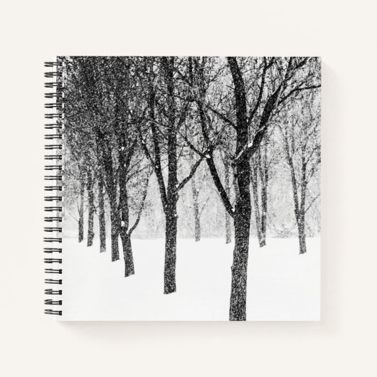 Carnet ris I side with trees (Devant)