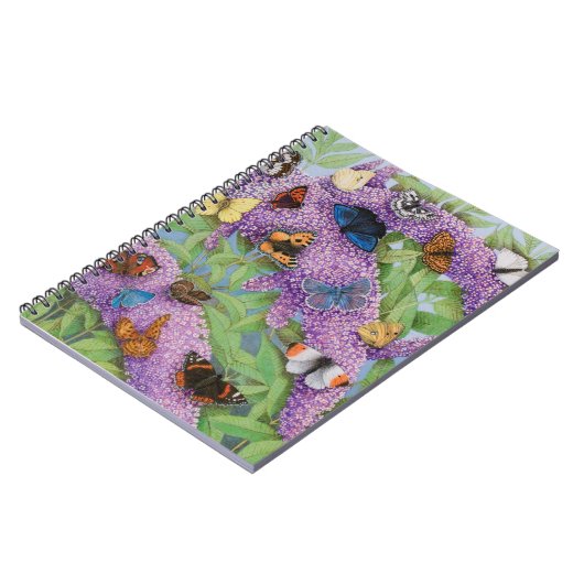 Carnet Risquer 2011 (Côté gauche)