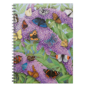 Carnet Risquer 2011