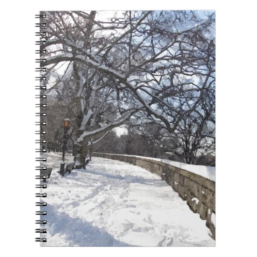 CARNET RIVERSIDE PARK EN HIVER (Devant)