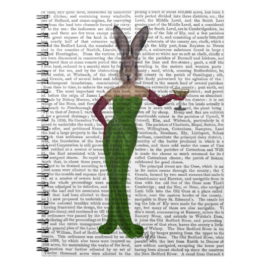 Carnet Robe verte de lapin (Devant)