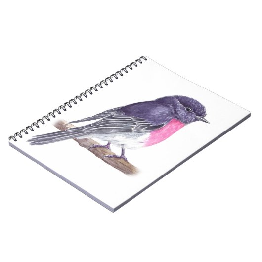 Carnet Robin (Côté gauche)