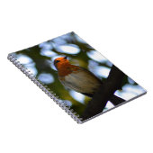 Carnet Robin (Côté Droit)