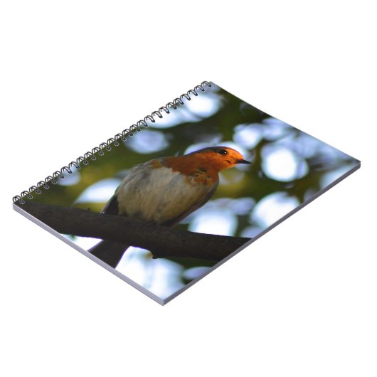 Carnet Robin (Côté gauche)