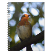Carnet Robin (Devant)