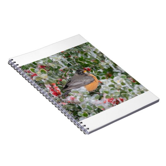 Carnet Robin à Noël (Côté Droit)