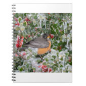 Carnet Robin à Noël (Devant)