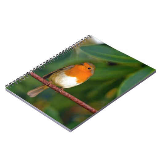 Carnet Robin de Noël (Côté gauche)