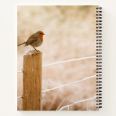 Carnet Robin d'hiver Redsein (Dos)