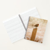 Carnet Robin d'hiver Redsein (Intérieur)