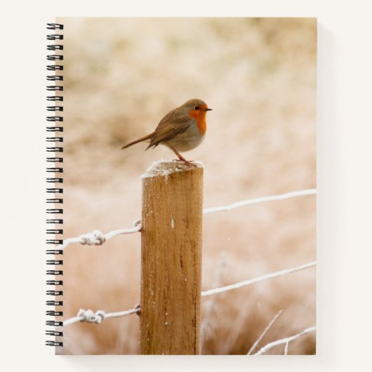 Carnet Robin d'hiver Redsein (Devant)