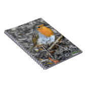 Carnet Robin étonnant (Côté Droit)