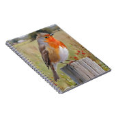 Carnet Robin Redmamin (Côté Droit)