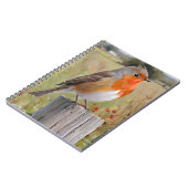 Carnet Robin Redmamin (Côté gauche)