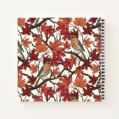 Carnet Robins in maple tree on off white (Dos)