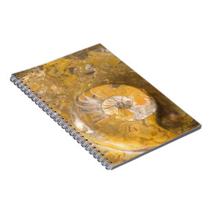 Carnet Roche contenant beaucoup de fossiles et photo