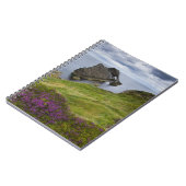 Carnet Roche de violon d'arc, Portknockie, Ecosse (Côté gauche)