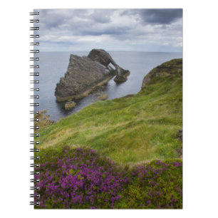 Carnet Roche de violon d'arc, Portknockie, Ecosse