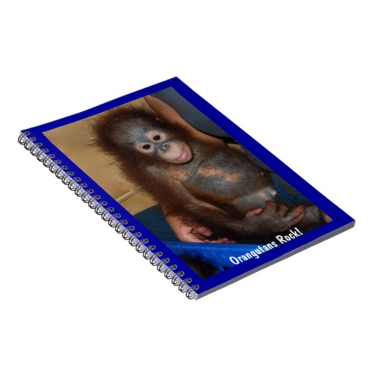 Carnet Roche d'orangs-outans (Côté Droit)