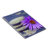 Carnet Rochers et marais (Côté Droit)