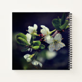 Carnet Romains 15:13 Dieu de l'Espoir Fleurs blanches (Dos)