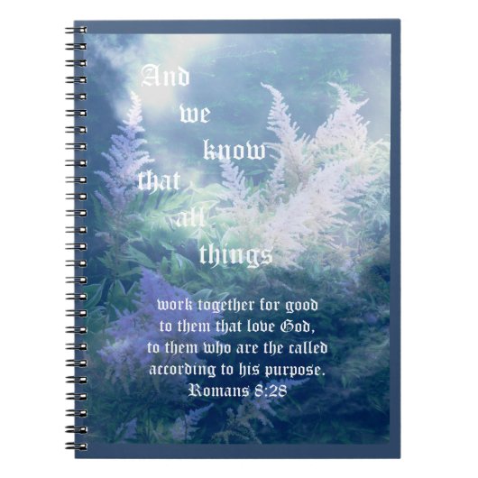 Carnet Romains de Mist Bleu Astilbe 8:28 (Devant)