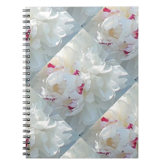 Carnet romantique à plusieurs pivoines (Devant)