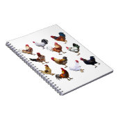 Carnet Roosters collage color chicken (Côté Droit)