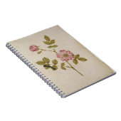 Carnet Rosa Canina - Dogrose et Caterpillar (crayon et (Côté Droit)