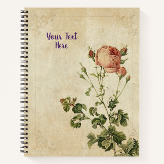 Carnet Rosa Centifolia - Chic Floral Cadeau
