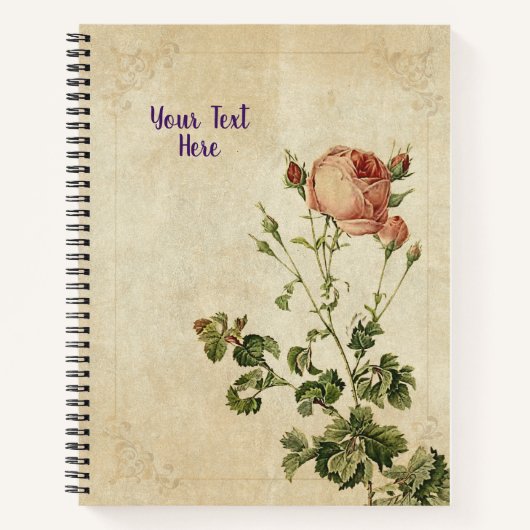 Carnet Rosa Centifolia - Chic Floral Cadeau (Devant)