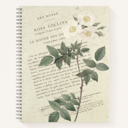 Carnet Rosa Collina Vintage (Devant)