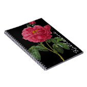 Carnet Rosa Gallica (Côté Droit)