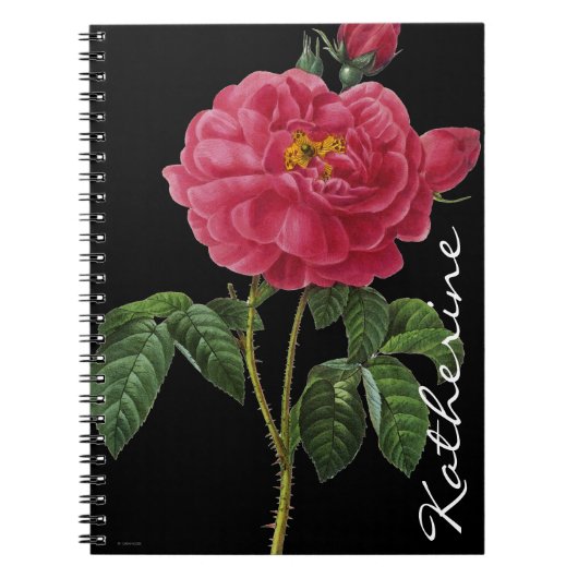 Carnet Rosa Gallica (Devant)