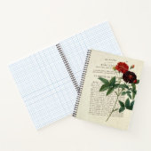 Carnet Rosa gallica Van Eeden Gardener (Intérieur)