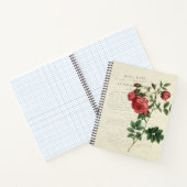 Carnet Rosa Rapa Vintage (Intérieur)