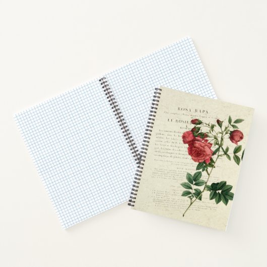 Carnet Rosa Rapa Vintage (Intérieur)