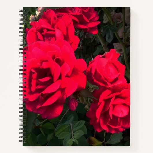Carnet Rosarium de Red Roses (Devant)